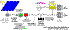 Conf-e3.gif (7902 bytes)