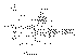 as52wiring.gif (12545 bytes)